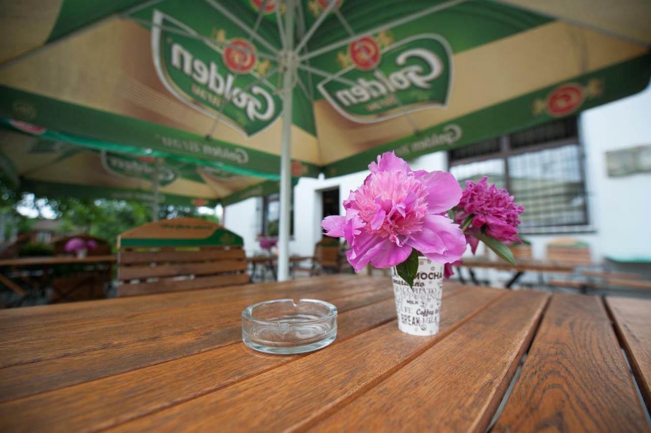 Pension Florica Piteşti Exterior foto